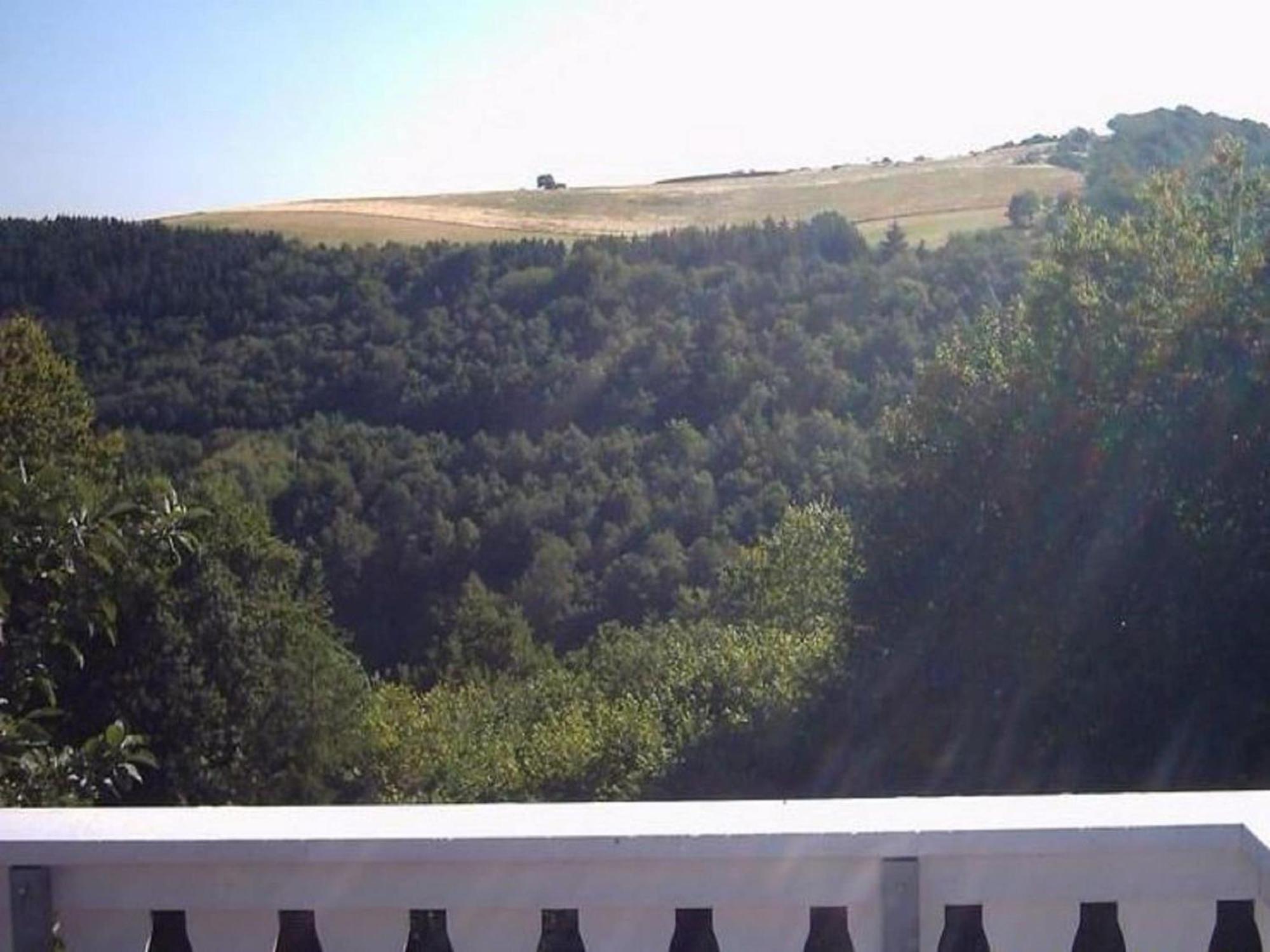 Charming Apartment In Morbach Germany With Terrace Thalfang Ngoại thất bức ảnh