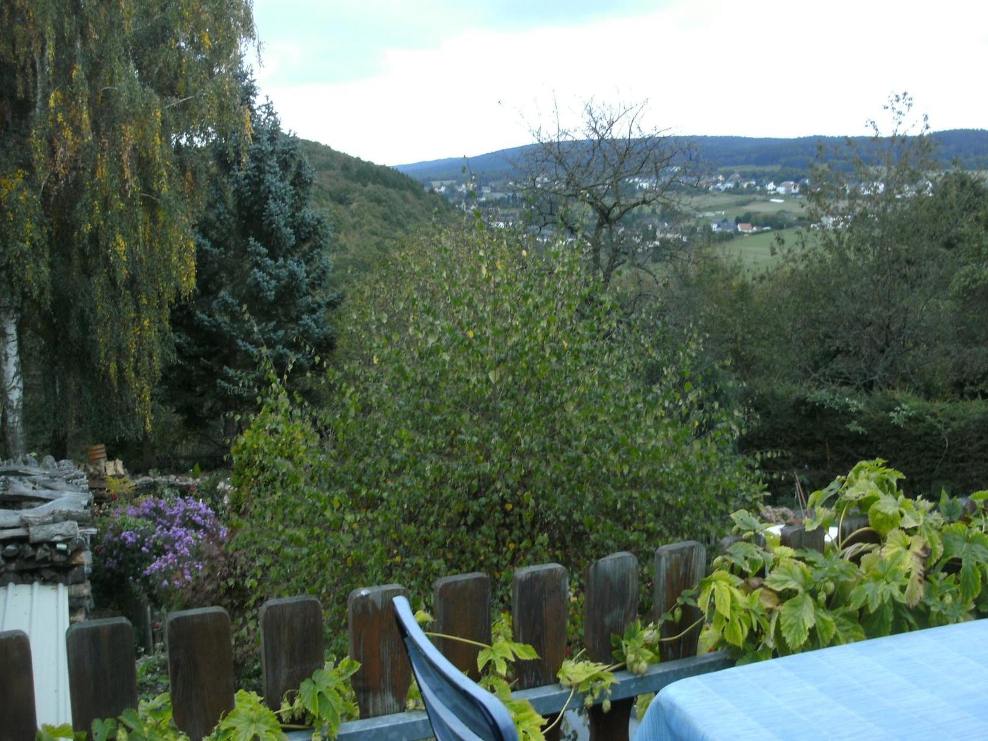 Charming Apartment In Morbach Germany With Terrace Thalfang Ngoại thất bức ảnh