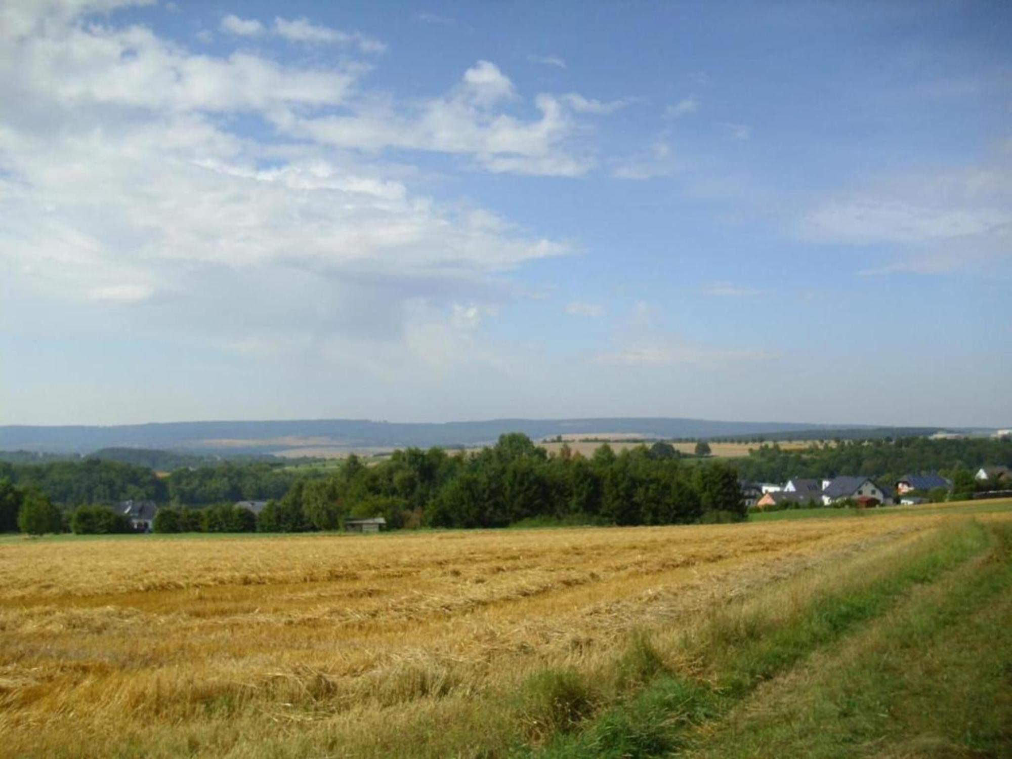 Charming Apartment In Morbach Germany With Terrace Thalfang Ngoại thất bức ảnh